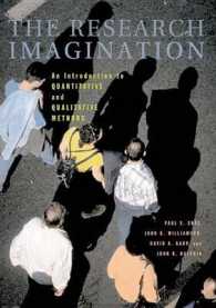 定性・定量調査法入門<br>The Research Imagination : An Introduction to Qualitative and Quantitative Methods