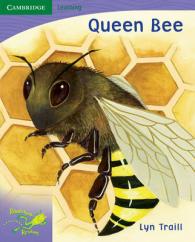 Pobblebonk Reading 6.5 Queen Bee (Pobblebonk Reading)