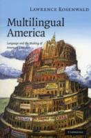 多言語のアメリカ文学<br>Multilingual America : Language and the Making of American Literature (Cambridge Studies in American Literature and Culture)