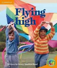 Flying High: Festivals (Rainbow Reading Festivals)