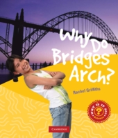 Why Do Bridges Arch?
