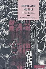 神経と筋（第３版）<br>Nerve and Muscle (Studies in Biology) （3TH）
