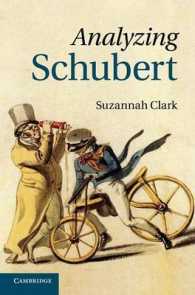 Analyzing Schubert