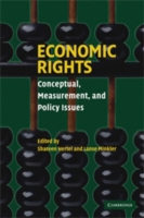 経済的権利<br>Economic Rights : Conceptual, Measurement, and Policy Issues