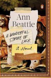A Wonderful Stroke of Luck : A Novel