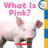 What Is Pink? (Rookie Toddler) （BRDBK）
