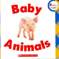 Baby Animals (Rookie Toddler) （BRDBK）