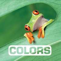 Colors: Picture This （Board Book）