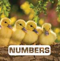 Numbers (Picture This) （BRDBK）