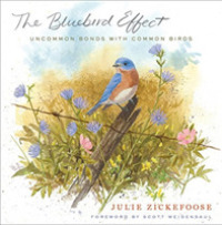 The Bluebird Effect : Uncommon Bonds with Common Birds