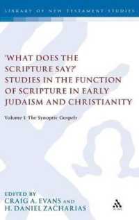 What Does the Scripture Say?' Studies in the Function of Scripture in Early Judaism and Christianity : Volume 1: the Synoptic Gospels (The Library of New Testament Studies)
