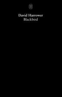 Blackbird （Main - glossy）