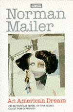 American Dream (Flamingo modern classics) -- Paperback