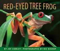 The Red-Eyed Tree Frog