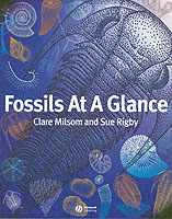 Fossils at a Glance (At a Glance)