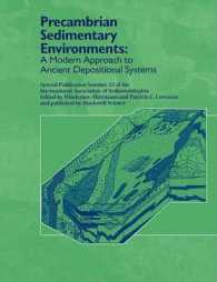 Precambrian Sedimentary Environments : A Modern Approach to Ancient Depositional Systems (Special Publication of the International Association of Sedi