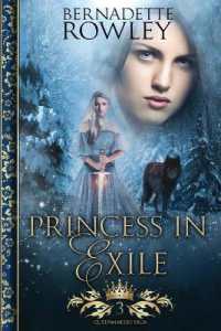 Princess in Exile (The Queenmakers Saga)