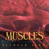 Muscles : Our Muscular System