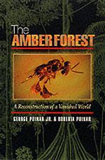 The Amber Forest : A Reconstruction of a Vanished World （Reprint）