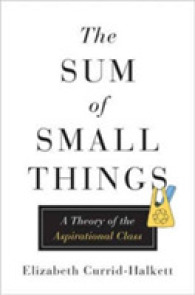 Sum of Small Things : A Theory of the Aspirational Class -- Hardback