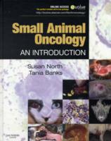 Small Animal Oncology : An Introduction （1 HAR/PSC）