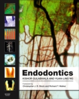 歯内治療学（第４版）<br>Endodontics （4TH）