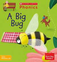 A Big Bug (Set 3) (Phonics Book Bag Readers)