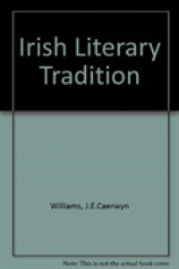 Irish Literary Tradition H B -- Hardback