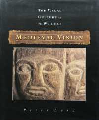 Medieval Vision : The Visual Culture of Wales (Visual Culture of Wales)