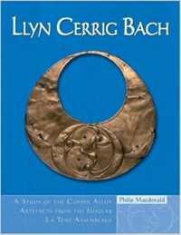 Llyn Cerrig Bach : A Study of the Copper Alloy Artefacts from the Insular La Taene Assemblage