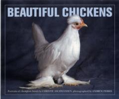 Beautiful Chickens -- Paperback