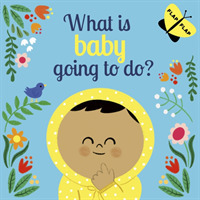 What is Baby Going to Do? (Lift-the-Flap)