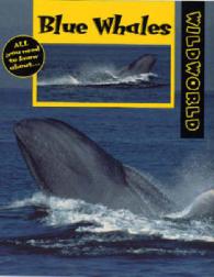 Blue Whales (Wild World S.)