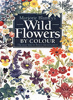 Wild Flowers by Colour: The Easy Way to Flower Identification