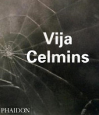 Vija Celmins (Contemporary Artists)
