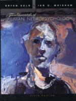 神経心理学の基礎（第６版）<br>Fundamentals of Human Neuropsychology （6TH）