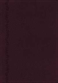 Holy Bible : New King James Version, the Vines Expository Bible, Purple, Imitation Leather, a Guided Journey through the Scriptures （LEA）