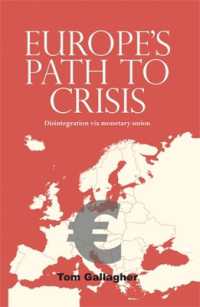 Europe's path to crisis : Disintegration via monetary union