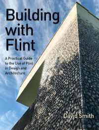 Building with Flint : A Practical Guide to the Use of Flint in Design and Architecture
