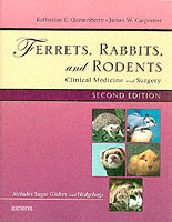 Ferrets, Rabbits and Rodents : Clinical Medicine and Surgery Includes Sugar Gliders and Hedgehogs （2ND）