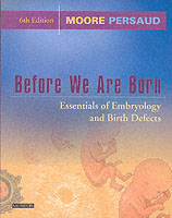 Before We Are Born : Essentials of Embryology and Birth Defects （6 SUB）