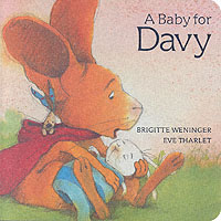 A Baby for Davy (Davy Board Books S.) （Board Book）