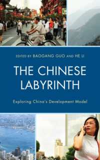 The Chinese Labyrinth : Exploring China's Model of Development (Challenges Facing Chinese Political Development)