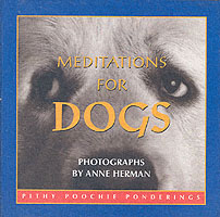 Meditations for Dogs