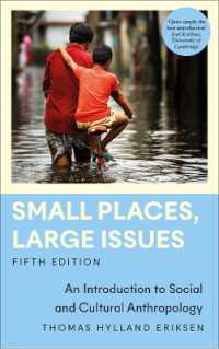 Small Places, Large Issues : An Introduction to Social and Cultural Anthropology (Anthropology, Culture and Society) （5TH）