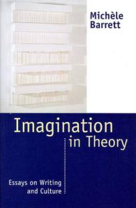 Imagination in Theory : Essays on Culture and Writing -- Paperback