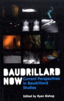 ボードリヤールの現在<br>Baudrillard Now : Current Perspectives in Baudrillard Studies