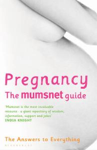 Pregnancy: the Mumsnet Guide : The Answers to Everything (Mumsnet)