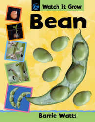 Bean (Watch it Grow S.) -- Paperback
