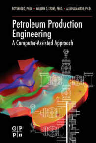 Petroleum Production Engineering : A Computer-assisted Approach
